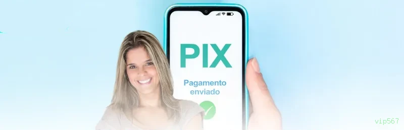 Checklist para avaliar a plataforma vip567